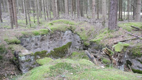 Maginot Line - Remains Shelter #1