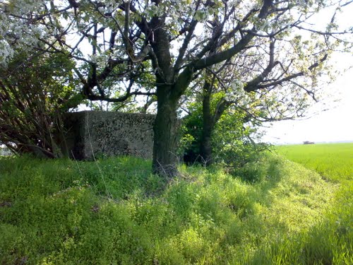 Beneovalinie - Schietmuur