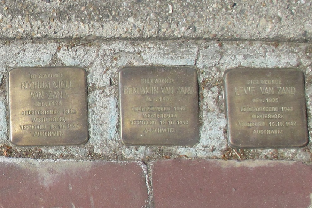 Stolpersteine Hanekampswijk 42 #4