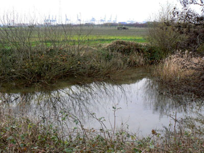 Tank Barrier Stabroek #1