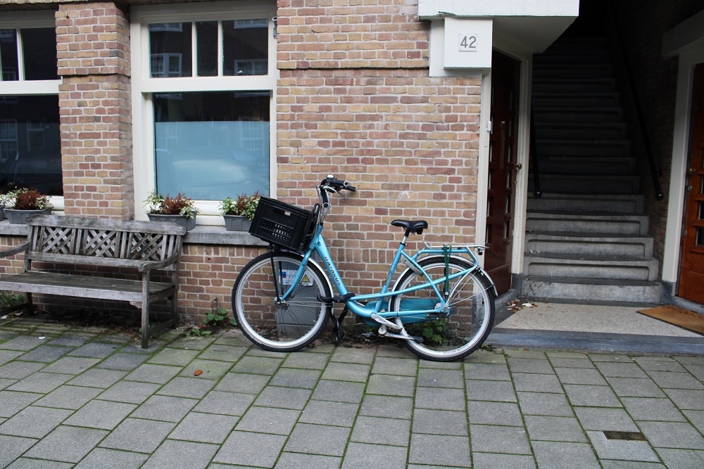 Stolpersteine Biesboschstraat 42 #4