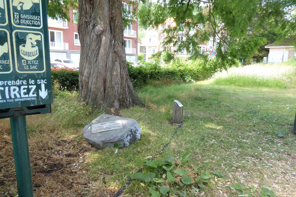 Gedenksteen 30 jaar Bevrijding van de Kampen