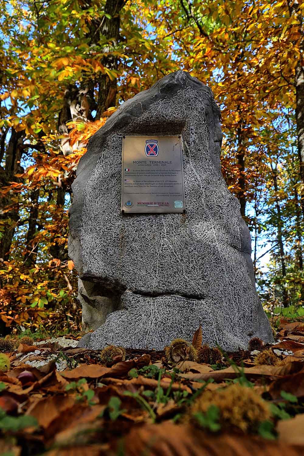 Memorial U.S. 10th Mountain Division Monte Terminale #1