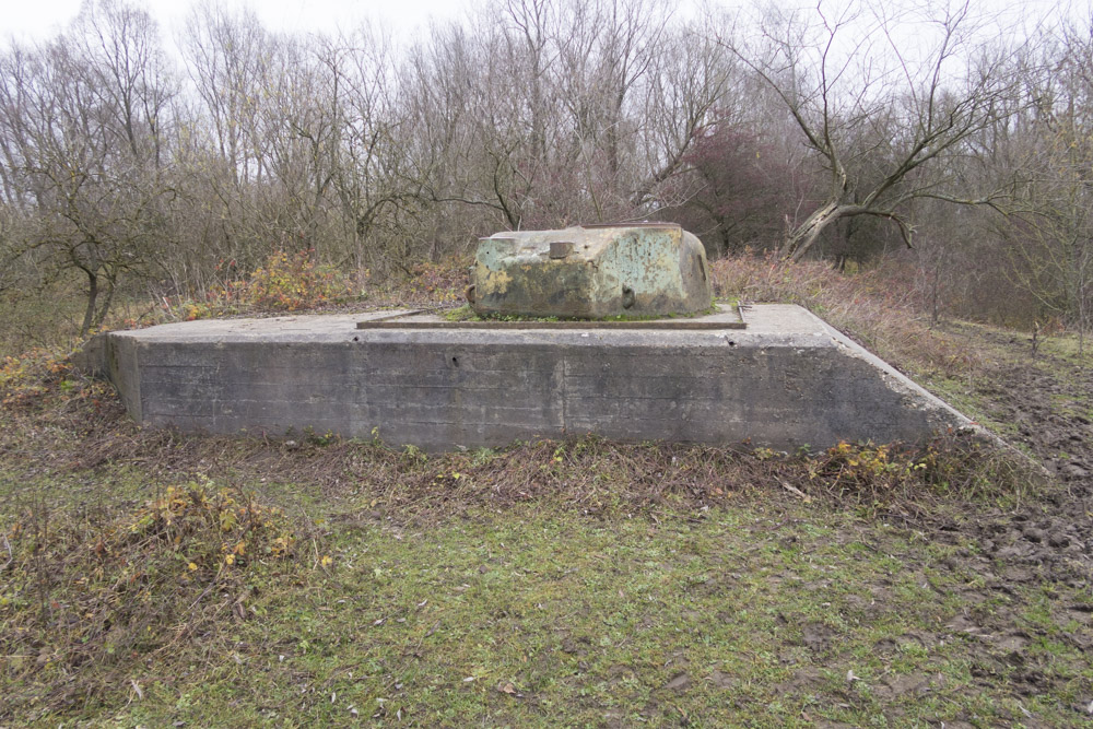 Concrete Encased M4 Sherman Tanks Meinerswijk #5