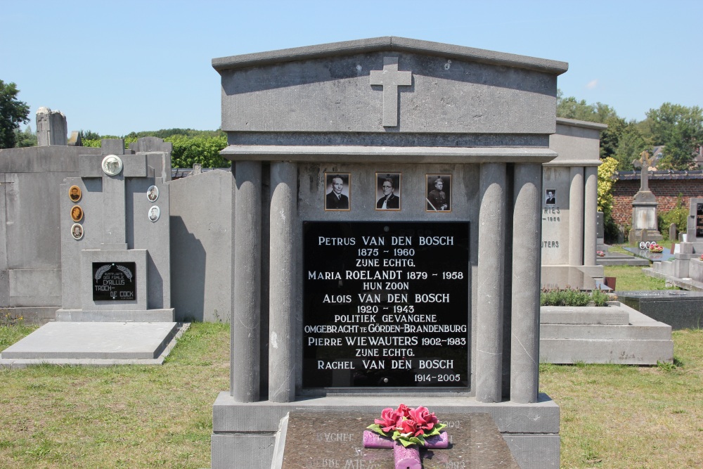 Belgian War Graves Lokeren #3