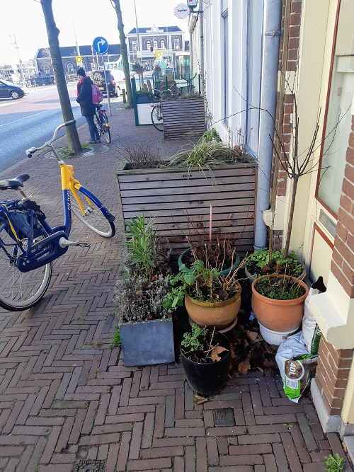 Stolperstein Stationsstraat 22 #3