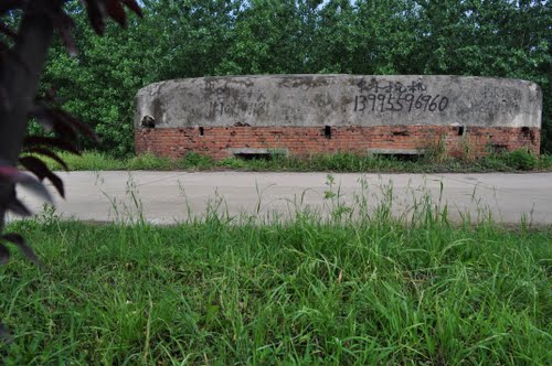 Chinese Dike Casemate B-4 Wuhan #1