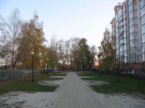 Mass Grave Soviet Soldiers No. 5 Voronezh #1