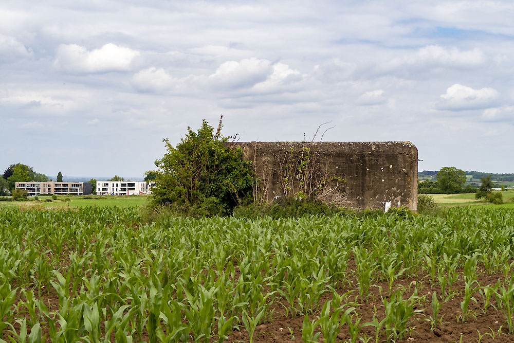 Verdedigingsbunker NV7 #2