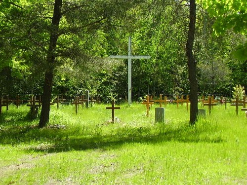 Commonwealth War Grave Sheshegwaning Roman Catholic Cemetery #1