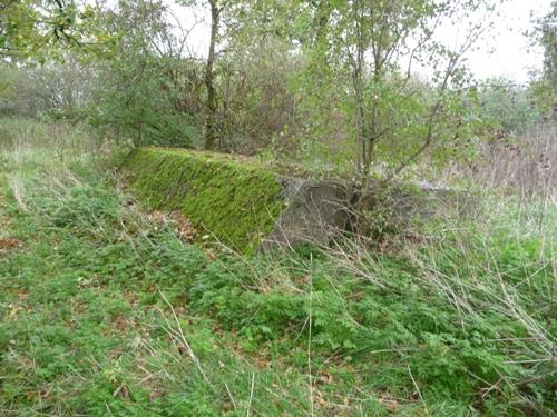 Group Shelter Type 1918/I Fort Vechten