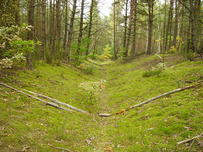 Brckenkopf Warschau - Tank Barrier Dabrwka #1