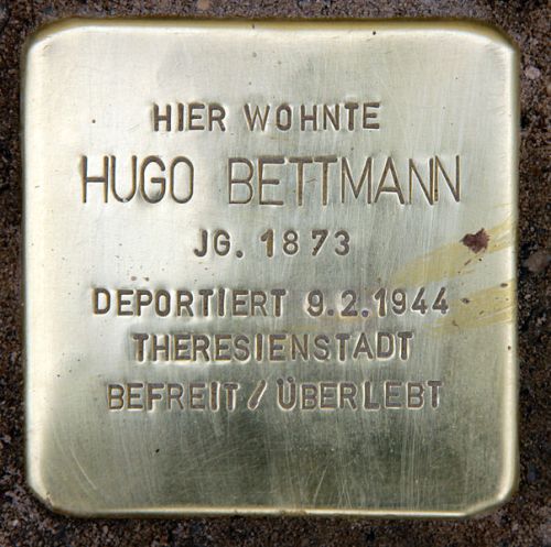 Stolperstein Halskestrae 41 #1