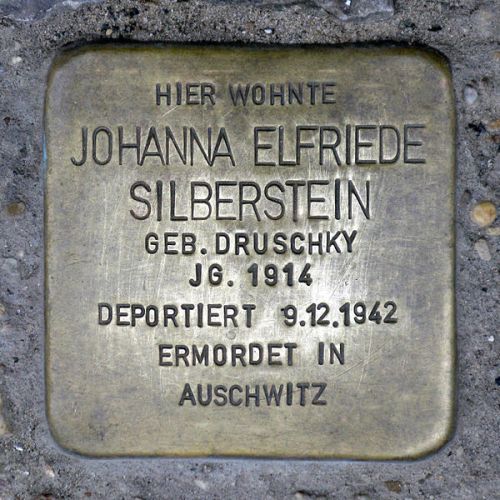 Stumbling Stones Schönholzer Straße 6 #4