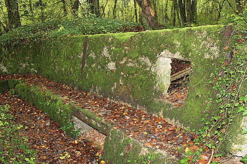 Forêt du Bois-le-prêtre #2