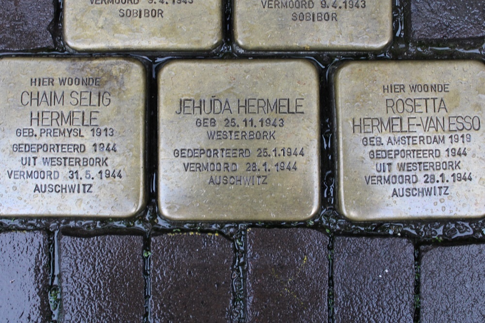 Stolpersteine Nieuwe Molstraat 3 #3