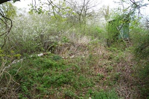 Demolished Pillbox Propsteier Wald #2