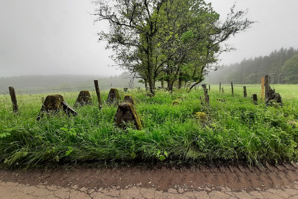 Westwall - Tank Barrier Miescheid #4