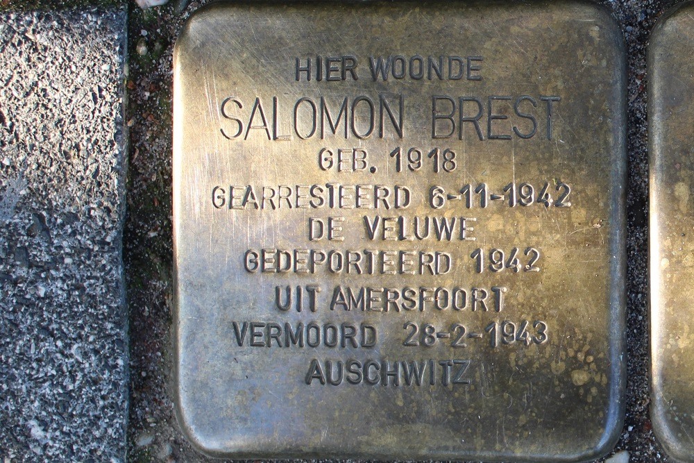 Stolpersteine Rijnstraat 92 #2