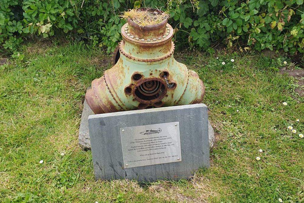 Monument voor de redding van Wladyslaw Kiedrzynski