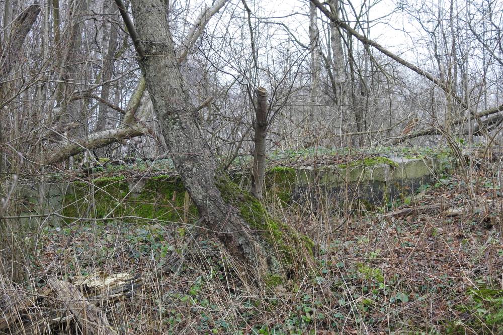 Demolished Pillbox Steinbachstraße #2