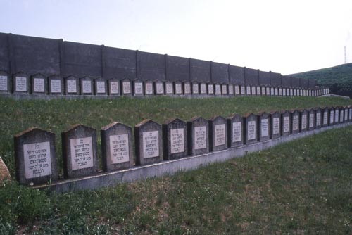 Joodse Oorlogsbegraafplaats Sărmaşu #2