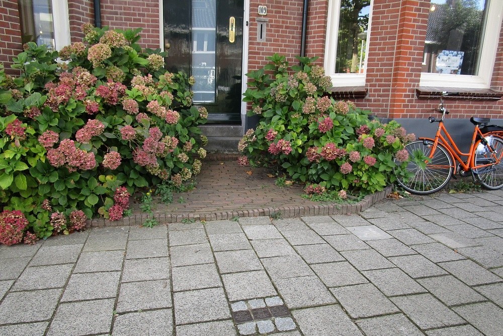 Stolpersteine Krugerlaan 109