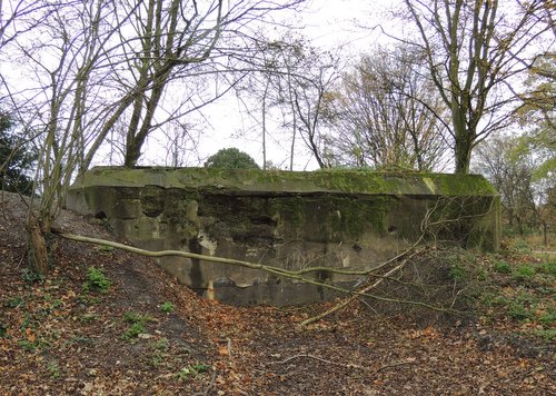 Bunker 3 Stützpunkt Brünhild 'Park Toorenvliedt'