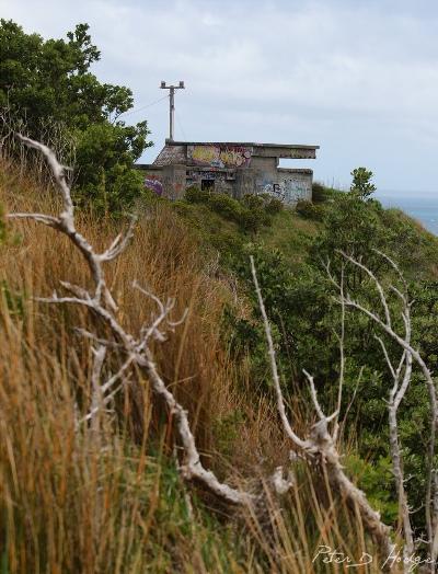 Fort Palmer Head #4