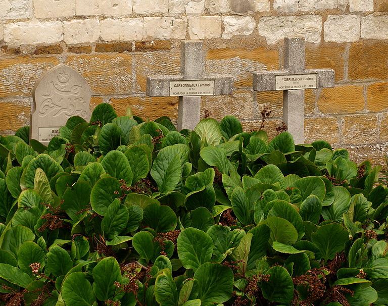 Franse Oorlogsgraven Mont-Saint-Martin