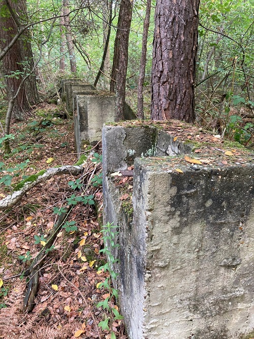 Remains of the Rundbogenhalle/Bow Hangar Fliegerhorst Venlo #3