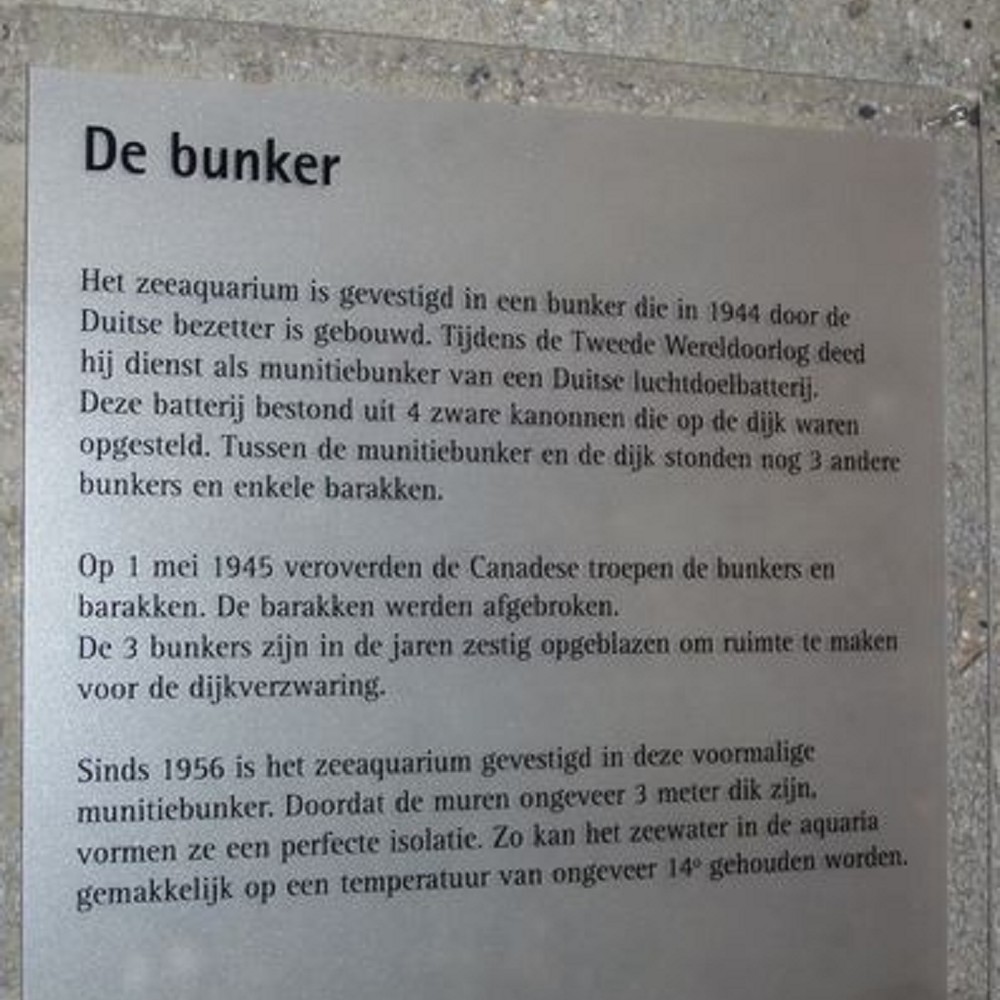 German Bunker Sea Aquarium #5