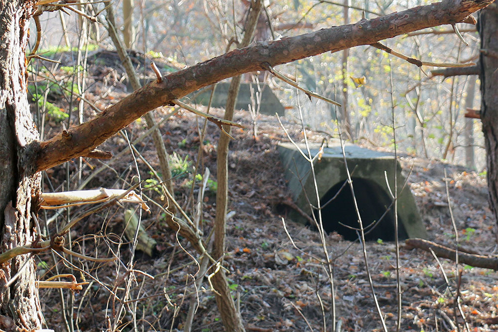 Iron Clamps Shelters Oostvoorne #5