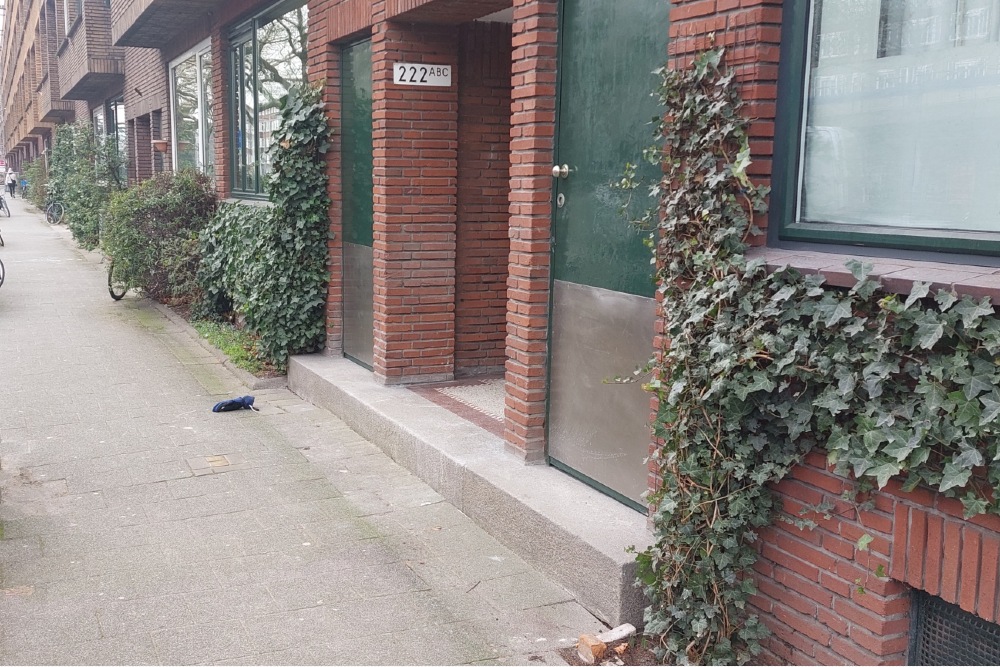 Stolpersteine Schieweg 222a #4