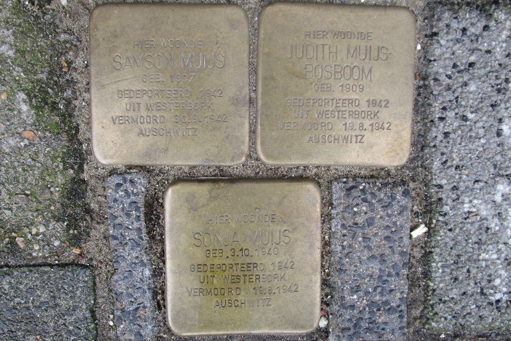 Stolpersteine Van Alphenstraat 116 #1