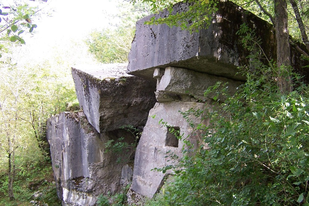 Alpine Wall - Fort Primož #2