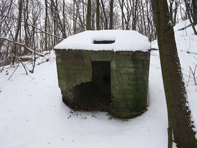 Festung Posen - Fort VIa (