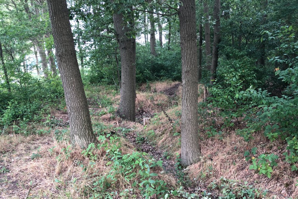 Former German Trenches Berlicum #3