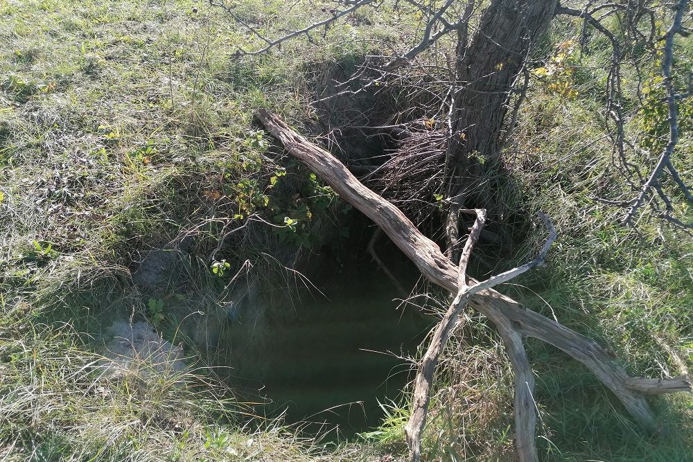 German Bunker Kvertype 428 Oostvoorne #5