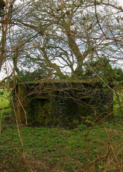 Pillbox FW3/22 Isfield #1