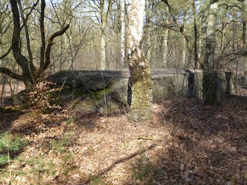 Group Shelter Type 1918/II De Fransche Kamp #1