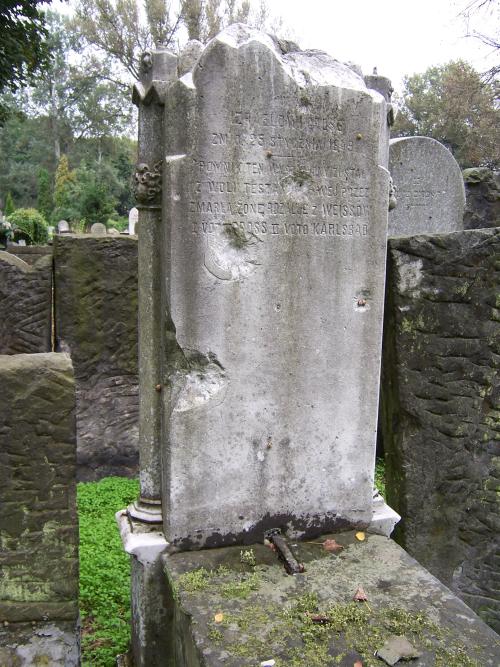 Jewish Cemetery Powzaki Warsaw #4