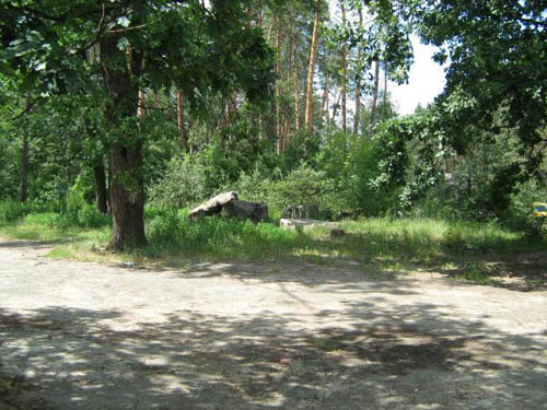 Stalin Line - Remains Casemate No. 478