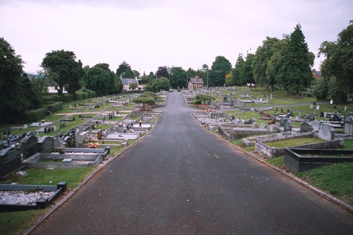 Oorlogsgraven van het Gemenebest Banbridge Town Cemetery #1