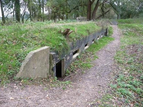 Group Shelter Type 1915 Fort Rhijnauwen