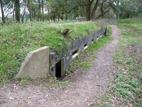 Group Shelter Type 1915 Fort Rhijnauwen #1