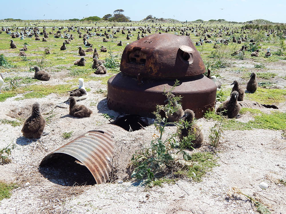 Metal Pillbox