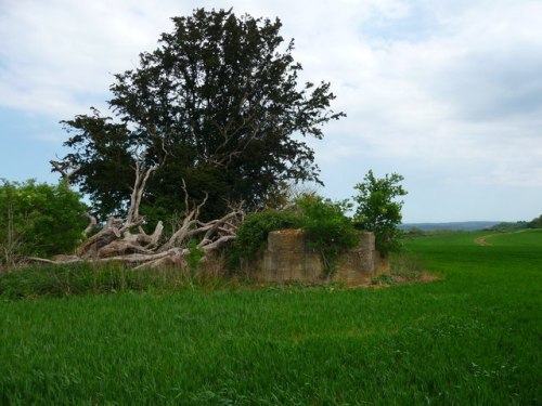 Pillbox FW3/22 West Dean #2