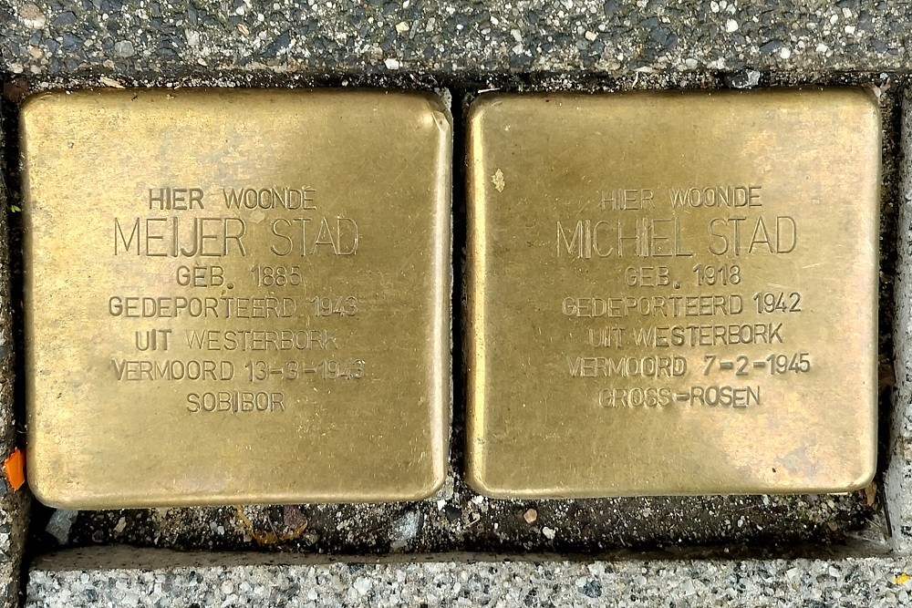 Stolpersteine Bergweg 226a #3