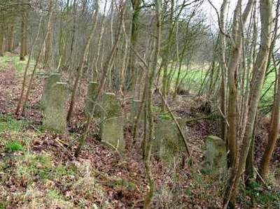 Grebbe Line - Tank Barrier Coelhorsterkade #3